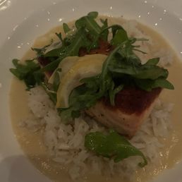 Salmon