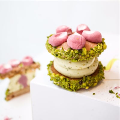 Cutter & Squidge by null