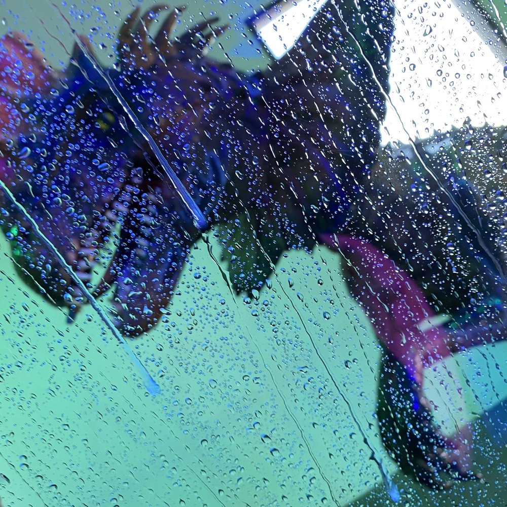 Dino Dash Car Wash - Just like the movie minus a can of barbasol - Car Wash Near Me - St. George, Utah Dino Dash Car Wash - Just like the movie minus a can of barbasol - Car Wash Near Me - St. George, Utah