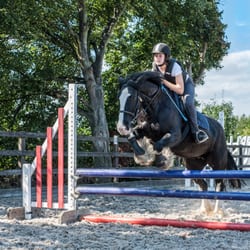 Lee Valley Riding Centre