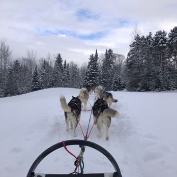 Peacepups Sledding - Sledding Near Me - Lake Elmore, Vermont