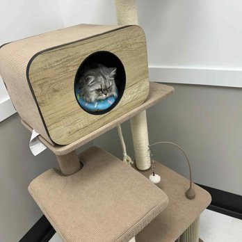 The inFURmary - Veterinarians Near Me - San Diego, California