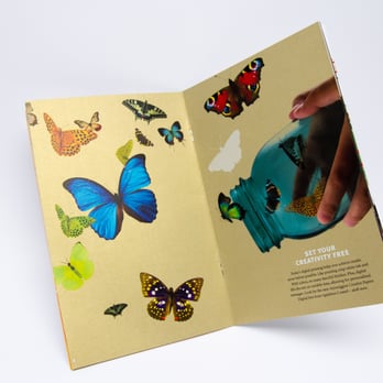 All City Printing - Printing Services Near Me - San Francisco, California All City Printing - Printing Services Near Me - San Francisco, California