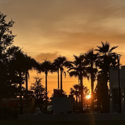 The Banyan House Restaurant - Sunset
