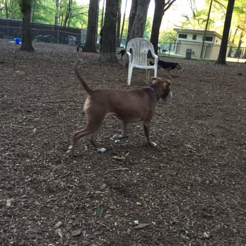 Oakwood Dog Park - Folgers loves Oakwood Dog Park! - Dog Parks Near Me - Raleigh, North Carolina