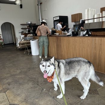 Andante Coffee Roaster - Coffee & Tea Near Me - Los Angeles, California Andante Coffee Roaster - Coffee & Tea Near Me - Los Angeles, California