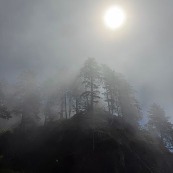 Ruby Beach - Beaches Near Me