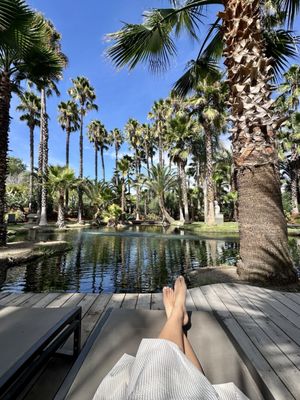 Indian Springs Calistoga by null