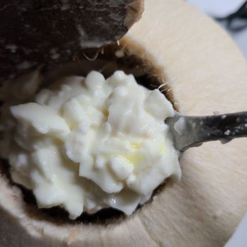 UC Dessert - Sold me a very old coconut pudding... - Desserts Near Me - Oakland, California UC Dessert - Sold me a very old coconut pudding... - Desserts Near Me - Oakland, California