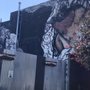 Photo of Robin Mural