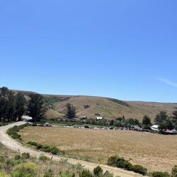 Harmony Cellars - Wineries Near Me - Harmony, California Harmony Cellars - Wineries Near Me - Harmony, California