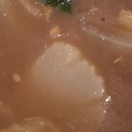 Scallop