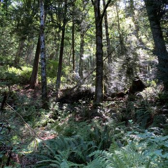 Tiger Mountain State Forest - Parks Near Me - Snoqualmie, Washington