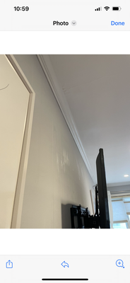 The Reliable Roof