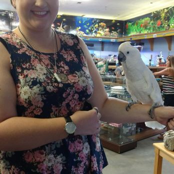 Pet Creations - Pet Stores Near Me - Jacksonville, Florida