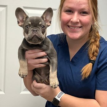Green Hills Veterinary Clinic - Veterinarians Near Me - Moberly, Missouri Green Hills Veterinary Clinic - Veterinarians Near Me - Moberly, Missouri
