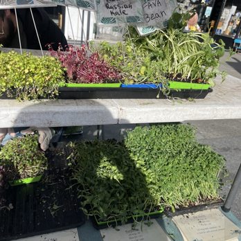 Lifefood Gardens - Clement st farmers market - Fruits & Veggies Near Me - San Francisco, California