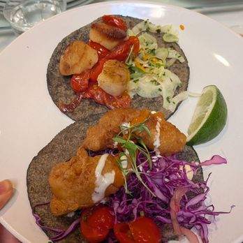 Holbox - Baja shrimp taco and scallop taco - Latin American Near Me - Los Angeles, California Holbox - Baja shrimp taco and scallop taco - Latin American Near Me - Los Angeles, California