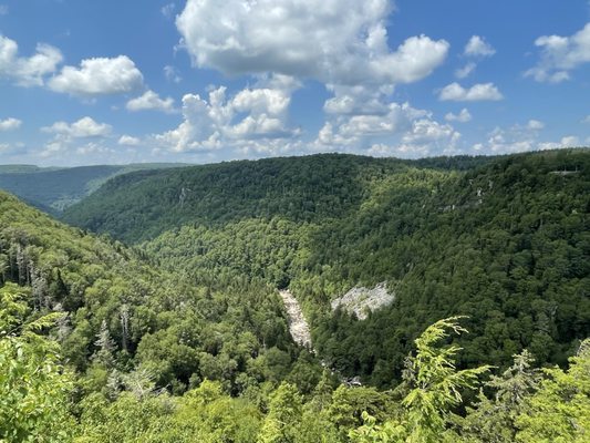 Blackwater Falls by null