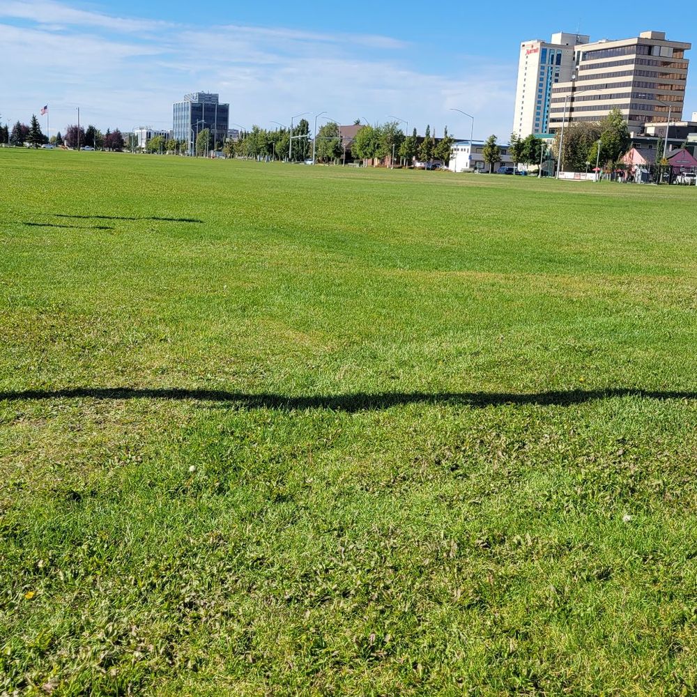 Delaney Park Strip - Beautiful Day - Parks Near Me - Anchorage, Alaska