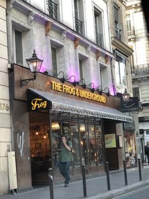 THE FROG UNDERGROUND REVIEWS visual data 3