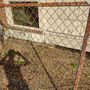 Photo of Lawn N Order Special Clippings Unit