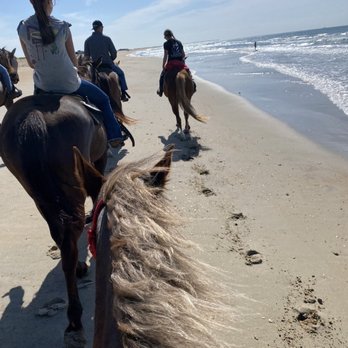 Equine Adventures - Walking back after cantering on the beach - Horseback Riding Near Me - Buxton, North Carolina Equine Adventures - Walking back after cantering on the beach - Horseback Riding Near Me - Buxton, North Carolina