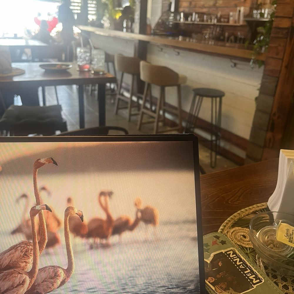 Tiki Java Jax - Inside - Coffee & Tea Near Me - Jacksonville, Florida Tiki Java Jax - Inside - Coffee & Tea Near Me - Jacksonville, Florida