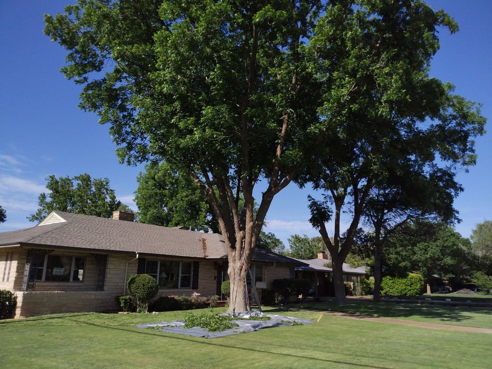 Slide of True Care Services