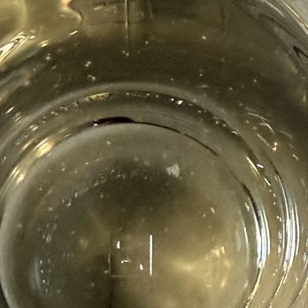 Southern Water Services - Visible particles possible bacteria, waiting for water test coming out of the tap clear glass - Water Purification Services Near Me - Jupiter, Florida