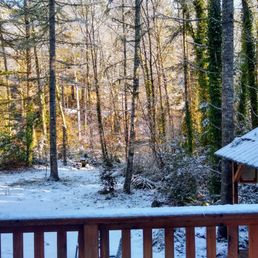 Snowed our night of arrival. Loved waking up to the birds! Snowed our night of arrival. Loved waking up to the birds!
