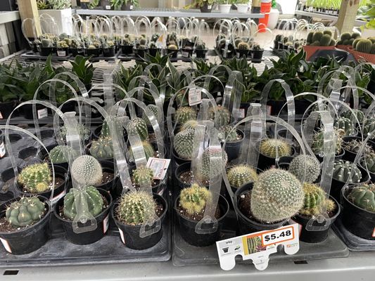The Home Depot by null