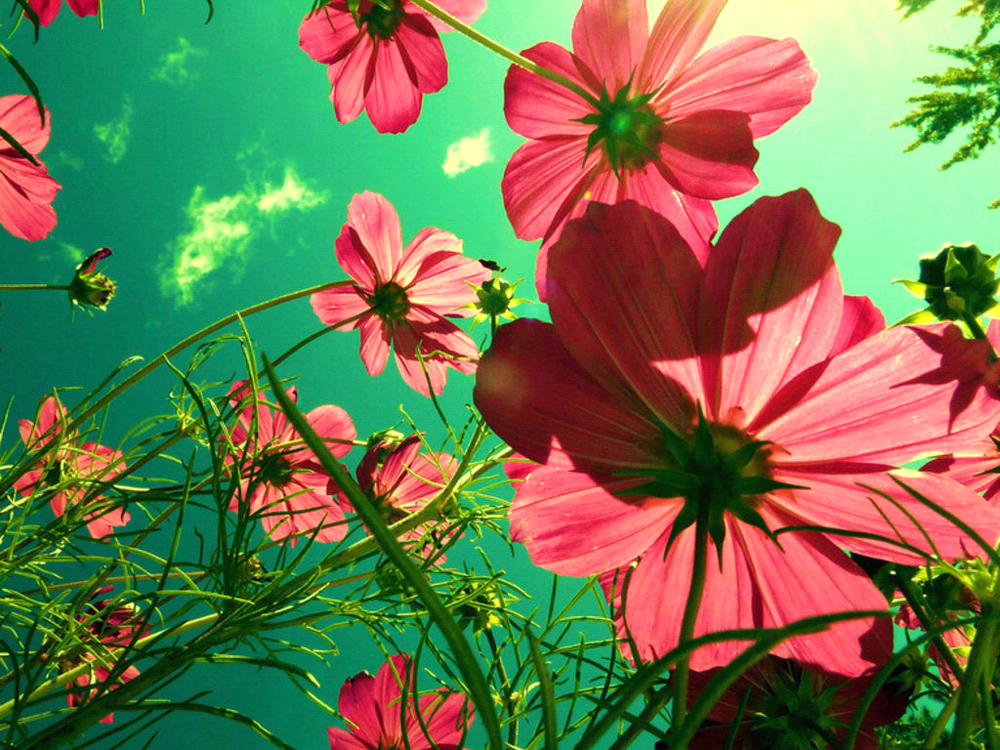 Personalized Home Care - home care agency in Sacramento, CA