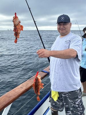 Davey's Locker Whale Watching & Sportfishing by null