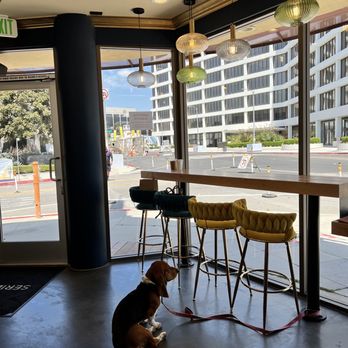 Series A Coffee - Pet friendly - Coffee & Tea Near Me - Beverly Hills, California Series A Coffee - Pet friendly - Coffee & Tea Near Me - Beverly Hills, California
