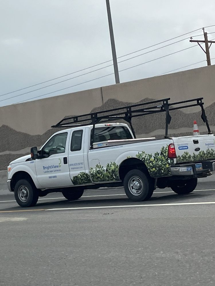 Brightview - tree service in Reno, NV