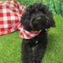 The Bark Park Pet Resort and Daycare