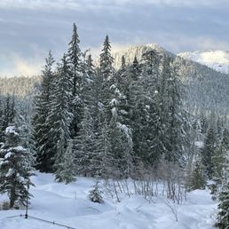 The view from Golden Poles # 208! The view from Golden Poles # 208!
