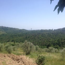 Montalgeto