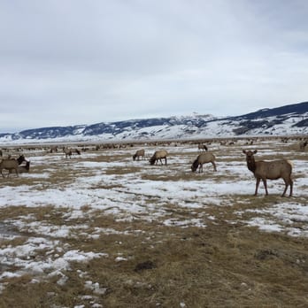 National Elk Refuge Sleigh Rides - Parks Near Me - Jackson, Wyoming National Elk Refuge Sleigh Rides - Parks Near Me - Jackson, Wyoming
