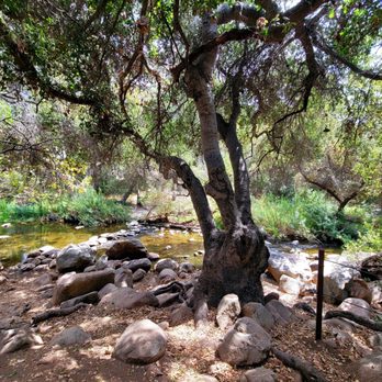 Elfin Forest Recreational Reserve - Creek you'll find within 10 min of walking - Hiking Near Me - Escondido, California Elfin Forest Recreational Reserve - Creek you'll find within 10 min of walking - Hiking Near Me - Escondido, California