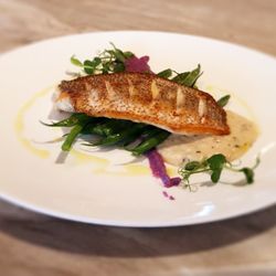 The Pawn - Red snapper with green beans and purple potato purée