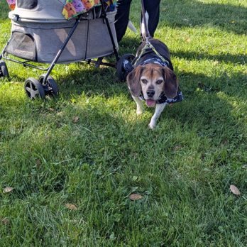 Bark In the Park - Festivals Near Me - San Jose, California Bark In the Park - Festivals Near Me - San Jose, California