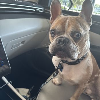 Chick-fil-A - Freddie and I waiting on our order. - Fast Food Near Me - Bartow, Florida