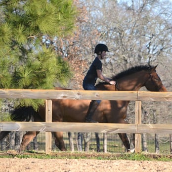 Bit By Bit Farms - Horseback Riding Near Me - Elgin, Texas