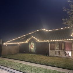 Christmas Light Guy & Decor