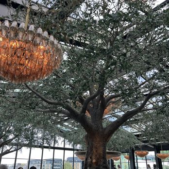 RH Rooftop Restaurant at RH Dallas - Beautiful space - American Near Me - Dallas, Texas RH Rooftop Restaurant at RH Dallas - Beautiful space - American Near Me - Dallas, Texas