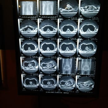 Nicholson Museum - Museums Near Me - Camperdown, NSW Nicholson Museum - Museums Near Me - Camperdown, NSW