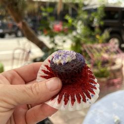 Sweet Magnolias Cafe & Gift Shop