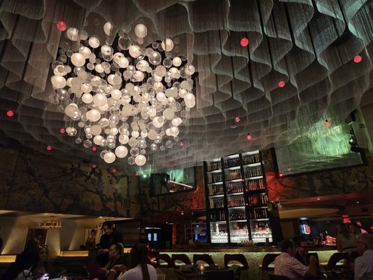 ZuZu Nashville by null